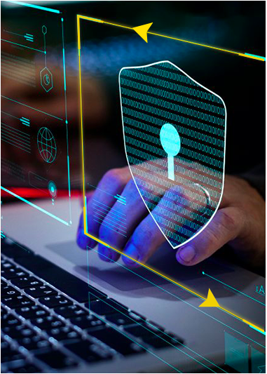 Application Security Assessment