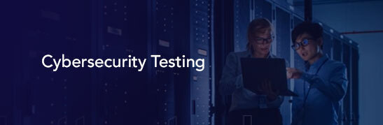 cyber security consultant