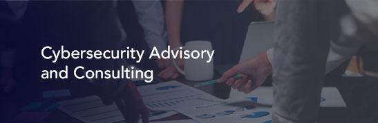 cyber security consulting